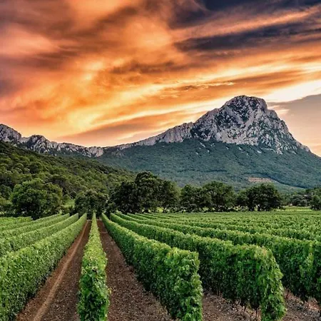 L'abri Cotier Du Pic Saint Loup Dans L Herault * Prades-le-Lez