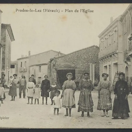 L'abri Cotier Du Pic Saint Loup Dans L Herault Appartement
