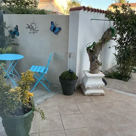 L'abri Cotier Du Pic Saint Loup Dans L Herault *
