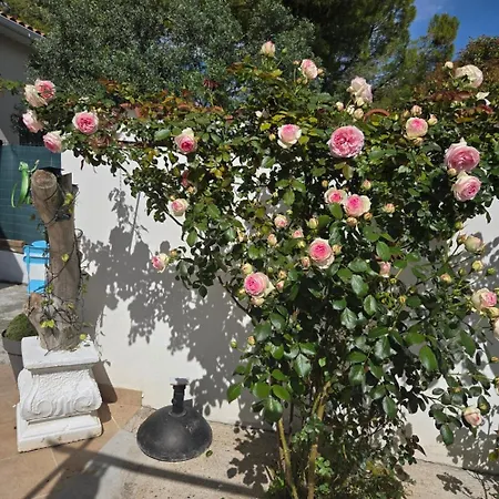 شقة L'abri Cotier Du Pic Saint Loup Dans L Herault *