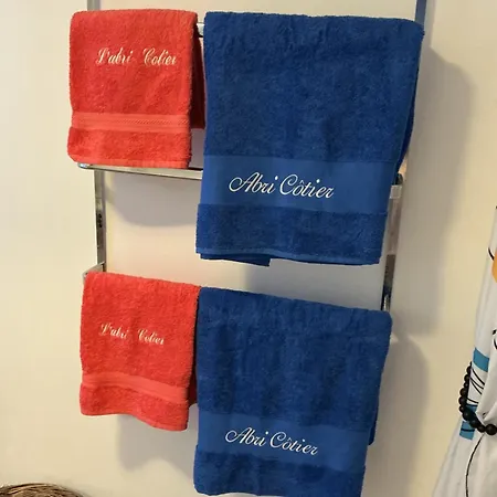 L'abri Cotier Du Pic Saint Loup Dans L Herault Appartement *